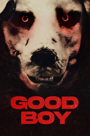 Download Good Boy (2022) Dual Audio [Hindi + Norwegian] BluRay 480p [350MB] | 720p [750MB] | 1080p [1.7GB]
			
				
July 20, 2024